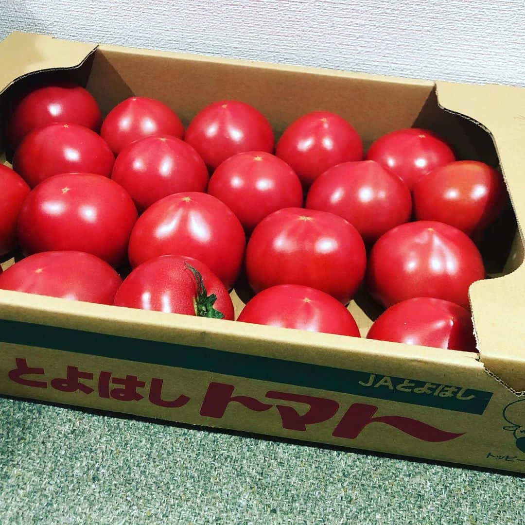 久保ミツロウのインスタグラム：「🍅🍅🍅🍅🍅🍅🍅🍅🍅🍅🍅🍅🍅🍅🍅🍅🍅🍅🍅🍅🍅🍅🍅🍅🍅🍅🍅🍅🍅🍅🍅🍅🍅🍅🍅🍅🍅🍅🍅🍅🍅🍅🍅🍅🍅🍅🍅🍅🍅🍅🍅😊 ザルは飛び跳ね防止です。 美味しい豊橋のトマトが大量に届いた！トマト8個分と余ってたアヒージョのオイルで保存用トマトソースを作った。はちゃめちゃに美味しいのできた。」