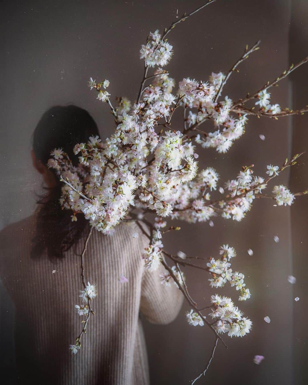 柳澤麻衣さんのインスタグラム写真 - (柳澤麻衣Instagram)「The cherry trees have finished blooming🌸」4月19日 4時46分 - toile_blanche