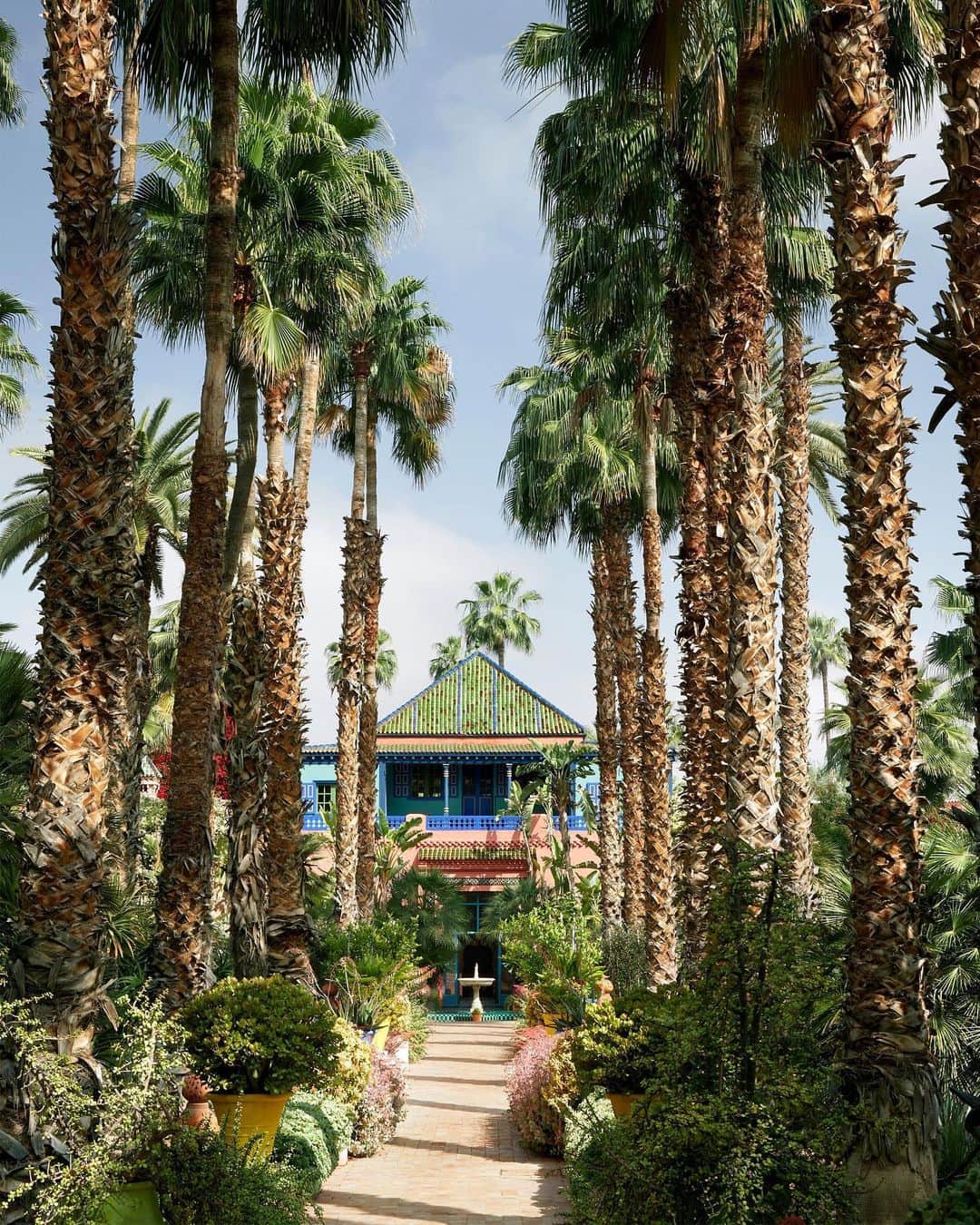ELLE DECORさんのインスタグラム写真 - (ELLE DECORInstagram)「In our May 2020 issue, we asked a few of our favorite designers where the best secret gardens were located. Above is landscape artist @lily_kwong's favorite: Jardin Majorelle in Marrakech, restored by Yves Saint Laurent and his partner, Pierre Bergé. Produced by @charlescurkin.」4月19日 5時20分 - elledecor