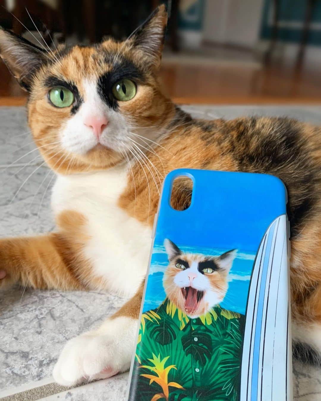 リリーさんのインスタグラム写真 - (リリーInstagram)「Surfs up! With this @crownandpaw phone case, I feel like I’m at the beach! Use the code LILLY10 to get 10% off! ☀️ . . . . .#crownandpaw #caturday #lillycrazyeyes #calico #instacalico #catsofinstagram #meowdel #beach #surfsup #iphonexr #phonecase」4月19日 5時59分 - lilly_crazyeyes