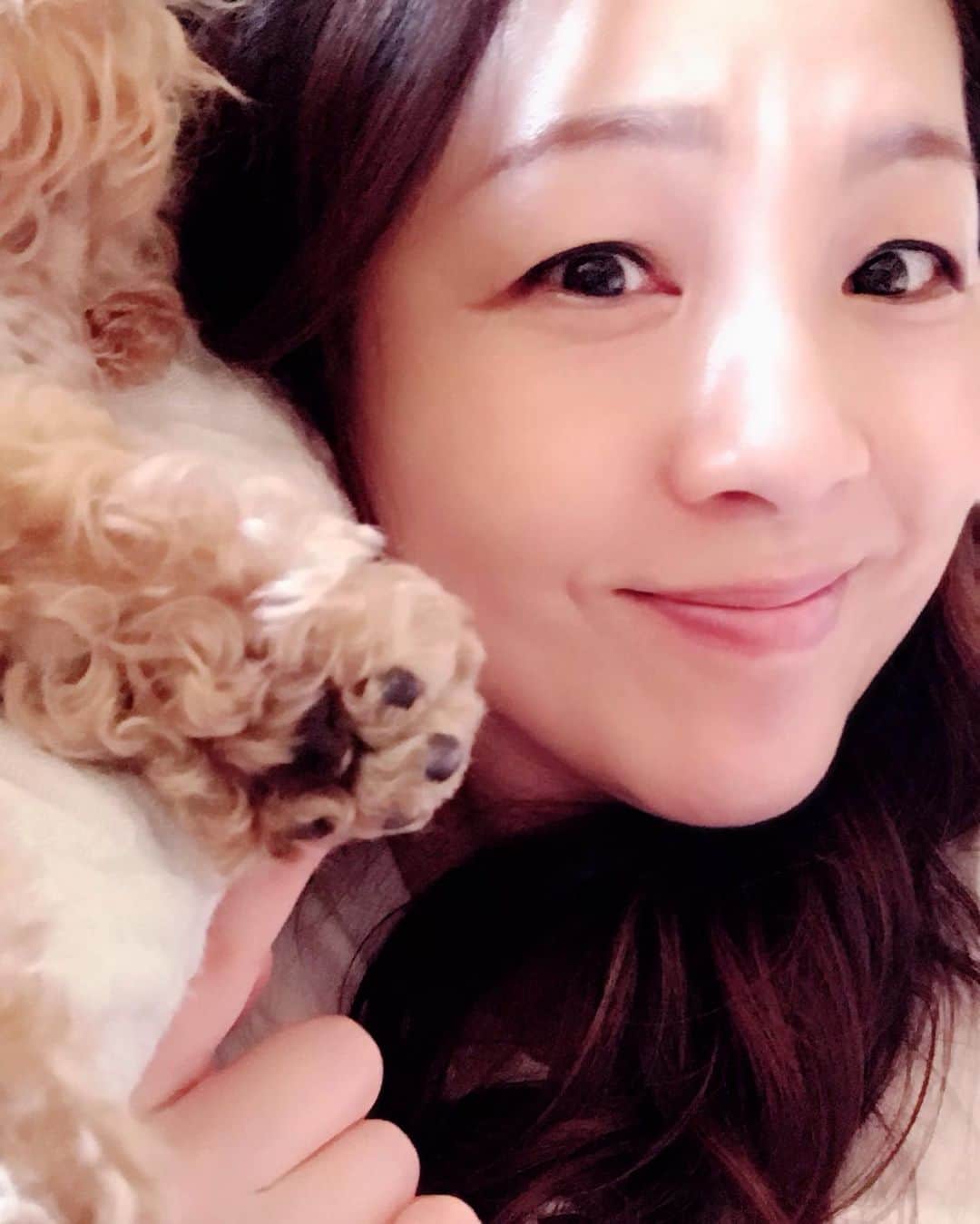 のインスタグラム：「晴天。  1年前に池袋で起きた暴走事故。 献花台の前に手をあわせに…  普段お散歩の時に かなりよく通るところなので。  とても他人事ではなくて。  ウチの道場の近くに住んでいた方が 事故に遭われたの。  ご冥福をお祈りします。  イチナナ動画配信は あす20日の13時。  お仕事の方は逢えないかも。  Happyで^ ^  #井上貴子  #LLPWX #女子プロレス #紅緒と柊音 #トイプードル部 #池袋暴走事故 #1年前 #17ライブ配信 #イチナナ #おうちですごそう #STOPCOVID19 #stayhome」