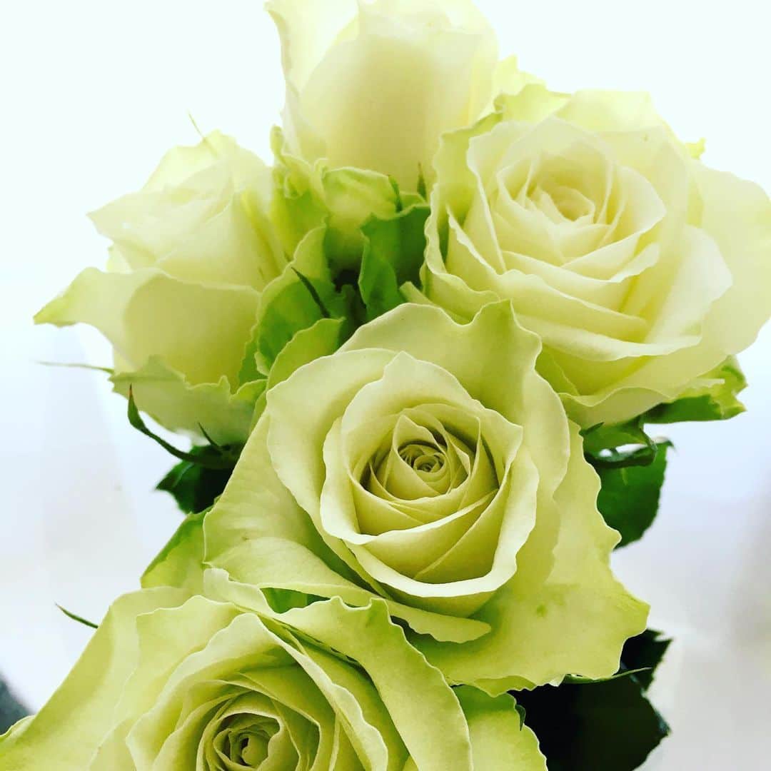 のインスタグラム：「本日のお花。  #frommyhusband」