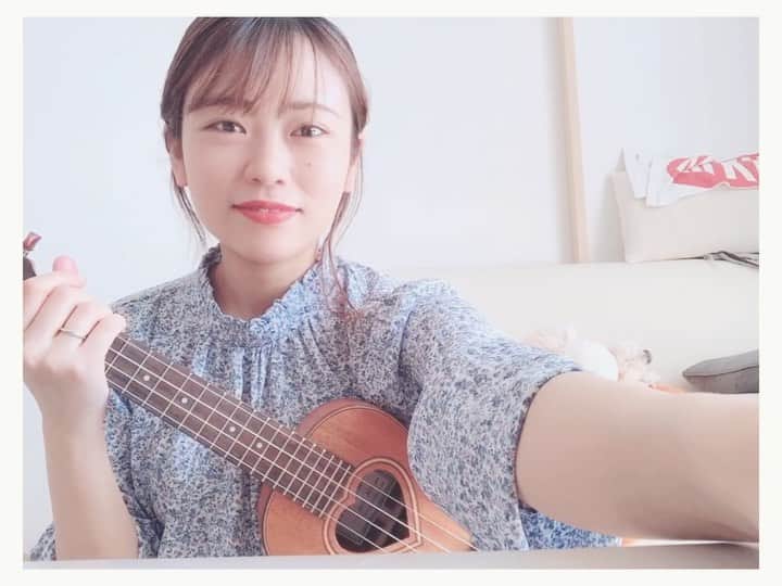 のインスタグラム：「. とってもお久しぶりな  #このレレ Part63🎸 あ〜、よかったな/花*花 . こんな時期なので 改めて周りに感謝🙏 の意味を込めて この曲を弾いてみました🌻 . 普段は当たり前だけど 当たり前じゃない今の状況で 家族や友人、ペットそして お腹の中の赤ちゃんが 元気で居てくれることが なによりも感謝🥰  今は会えないかもしれないけど、 元気で居てくれるだけ それでいい！ . . #おうち時間  #stayhome  この時間を感謝の時間に置き換えて 改めて、毎日隣にいてくれる 旦那さんがいてくれて あ〜、良かったなと☺️🌷 ありがとう♡♡♡ . . #ウクレレ #ウクレレ女子 #あーよかったな #花花 #ukulele #弾き語り #thankyou #コロナに負けるな #ウクレレ弾き語り #ゼマイティス #犬 #るいたん #トイプードル #安定の定位置 #マタニティ #妊娠後期 #プレママ #初マタ #35w0d #instagood #instalike #followme」