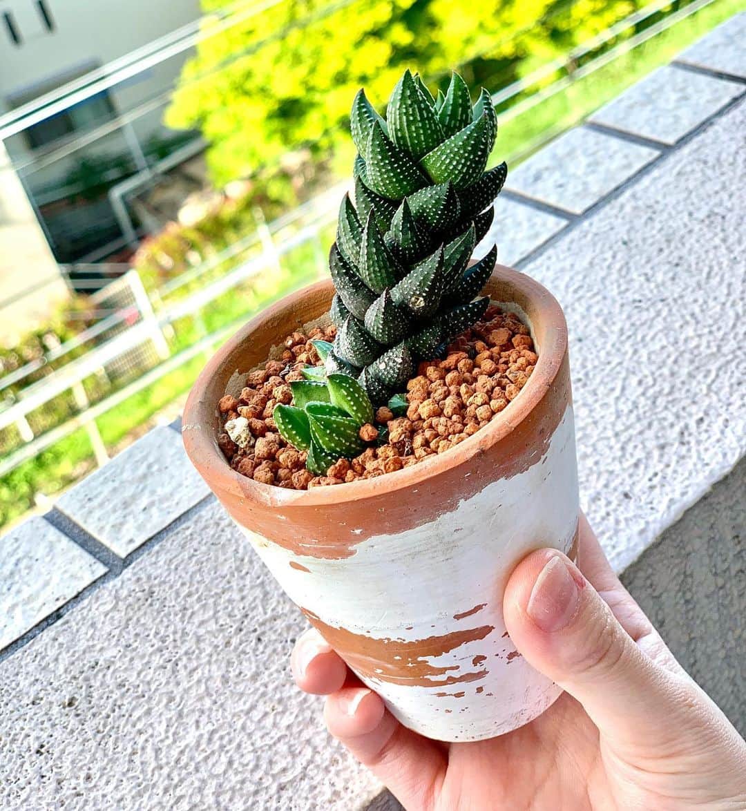 Mai Yamadaのインスタグラム