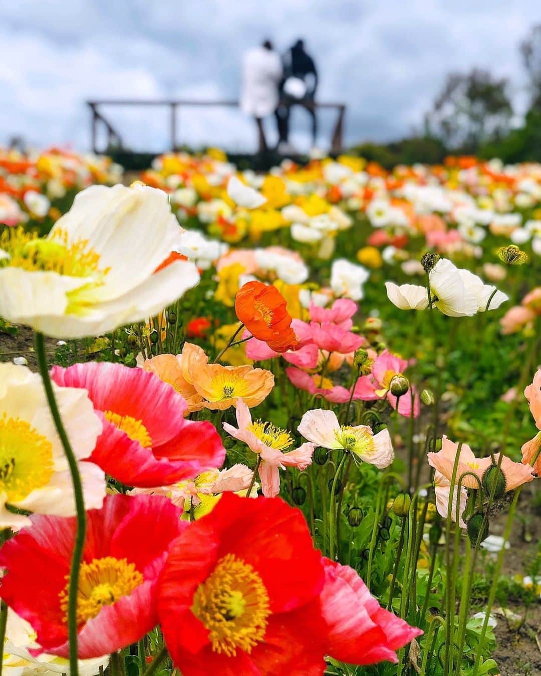 hama_aki_pppのインスタグラム