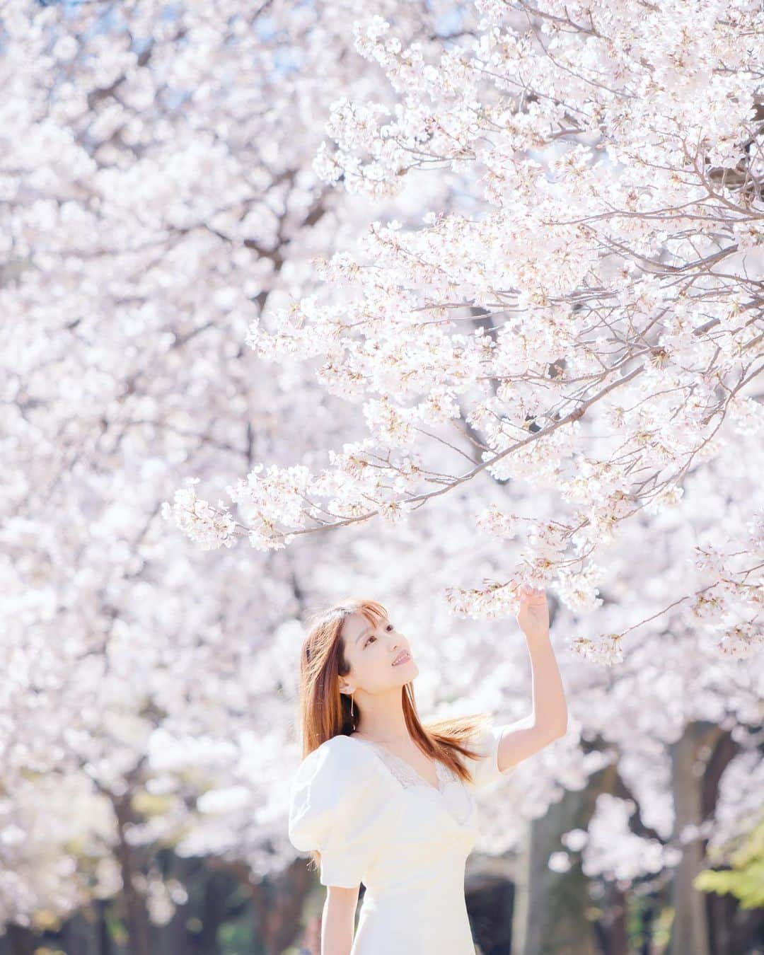 のインスタグラム：「🌸🌸🌸 ． ． Photo by Taku Watanabe ． ． ． #桜 #stayhome #stayathome」