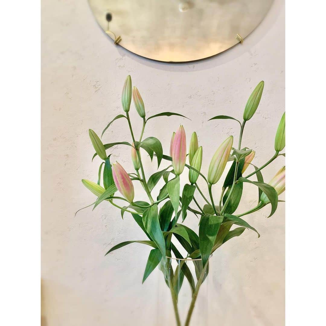 小林有里さんのインスタグラム写真 - (小林有里Instagram)「♡ つぼみなのに 堂々としてる。 . . . 堂々としてるよなぁ♡ . . . #goodmorning  #kobahome #flowers #スーパーの #お花屋さんも #好きよ」4月19日 9時28分 - lilyshandmade