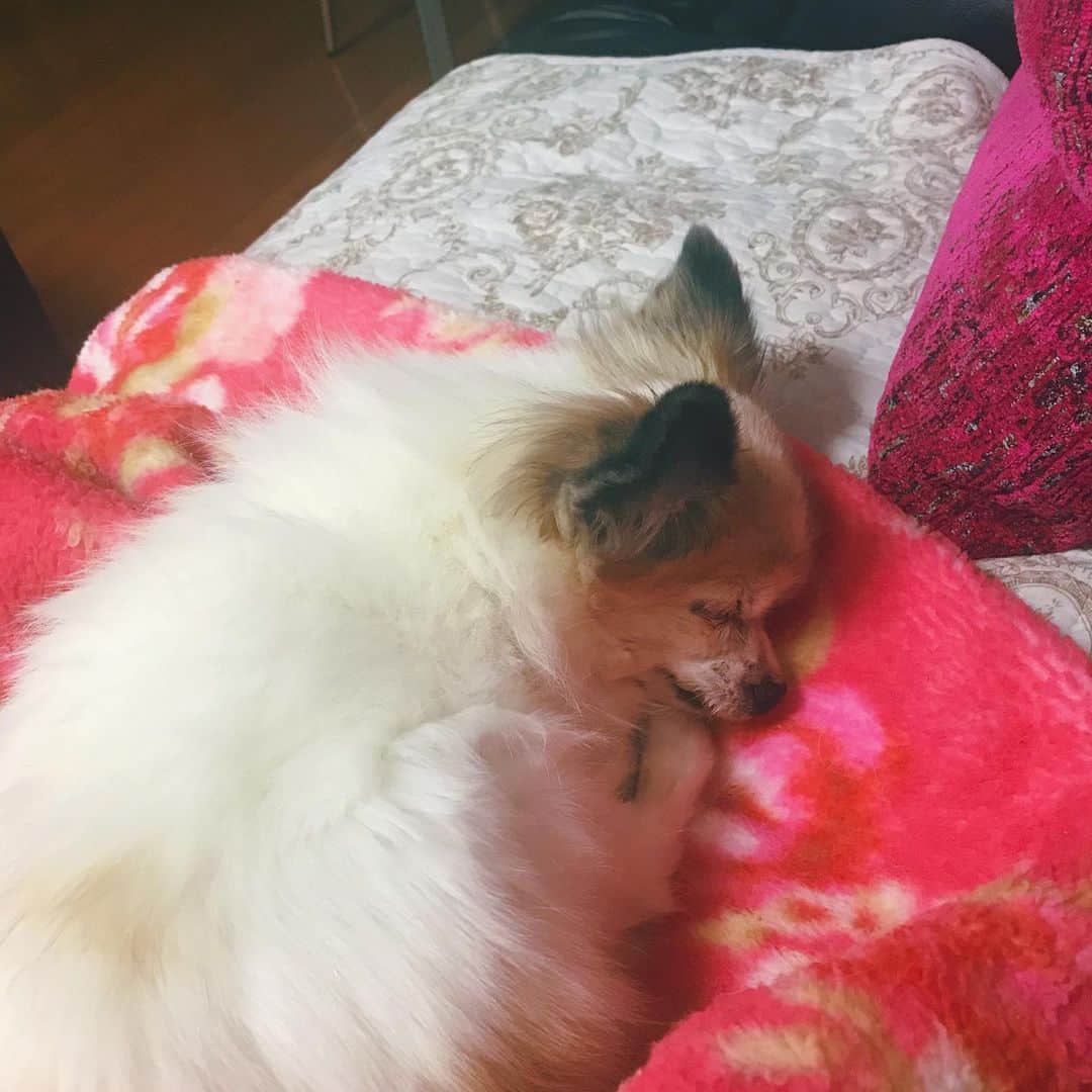 小林ようのインスタグラム