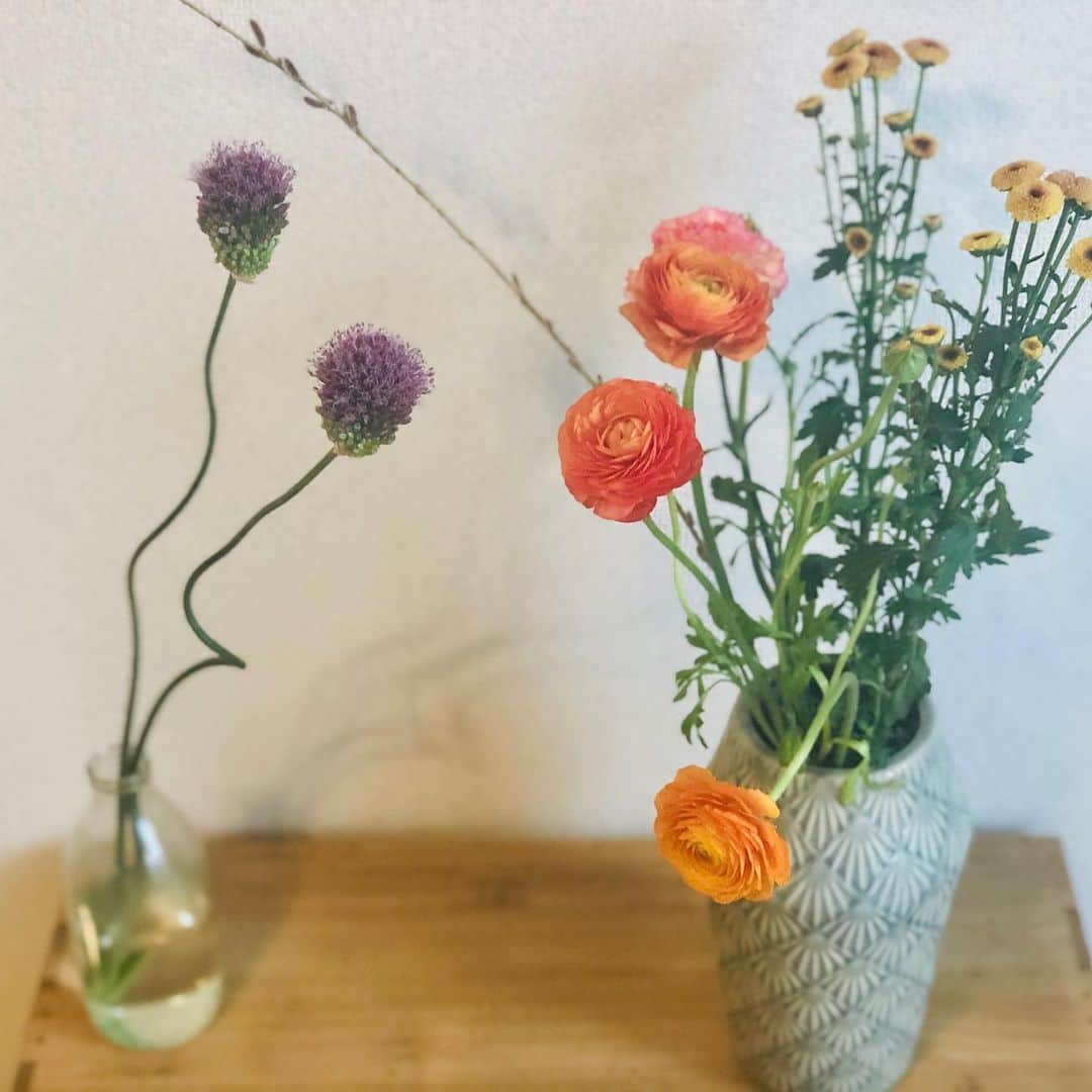 中川政七商店さんのインスタグラム写真 - (中川政七商店Instagram)「「花を飾ろう、季節を感じよう。」﻿ ﻿ いつも必ず家に生花を生けるようにしているのですが、ここのところ、いつも以上にたくさんの花々で溢れています。﻿ ﻿ 難しく考えず、投げ入れで好きなように。﻿ ﻿ 近所のスーパーや花屋さんなどで集めたものだけで、これだけ華やかになりました。﻿ もちろん今は花屋や市場などのオンラインショップで手に入れても。﻿ 季節の移ろいを室内で感じられるので、こんな時こそ部屋を花で彩ってみませんか。﻿ ﻿ #中川政七商店 #植物のある暮らし #植物 #植物のある生活 #花のある暮らし #花のあるくらし #春の陽気　#おうち時間 #花のある生活 #花好き #flower #flowerstagram #暮らしを楽しむ #暮らしの記録 #花を飾る #花を楽しむ #花を飾ろう #花を飾る生活 #花をかざる」4月19日 10時15分 - nakagawamasa7