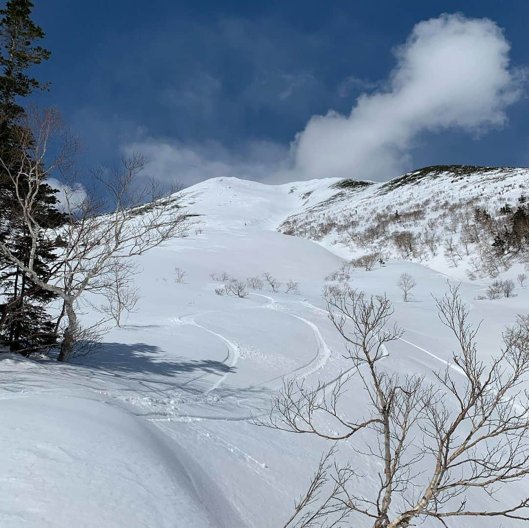 中井孝治さんのインスタグラム写真 - (中井孝治Instagram)「思い出🏔 📷 @uemura_yoshinari  @salomonsnowboards @salomonsnowboardsjapan #salomonsnowboardsjapan  #volcomjapan @volcomjapan @revolt_optical  #revoltgoggles @nixon_jp  #nixon_jp  #redi #toko @msrgear_japan #msr #coif #fishandtips #hps #hillsideproject @stance_japan #bSAP #purejammovie」4月19日 10時46分 - takaharunakai