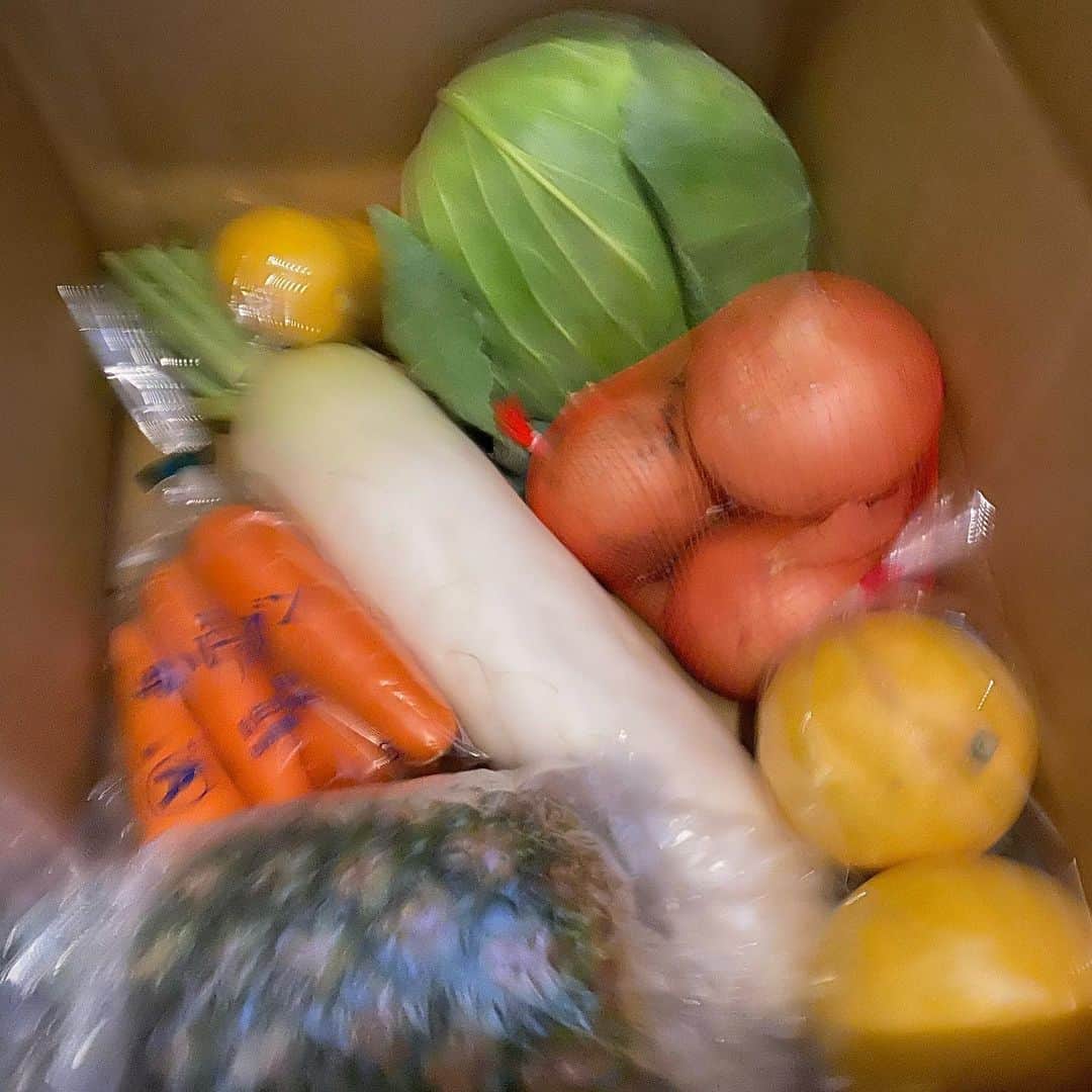 小柳津真由美さんのインスタグラム写真 - (小柳津真由美Instagram)「コロナ支援サイトで購入したお野菜と果物届きました！  近所の商店街やスーパーがやたら混んでるのが気になってたから配達して貰えて助かるし、支援にもなって嬉しい(^^) #コロナ支援 #市場から直送 #野菜と果物 #STAY HOME #小柳津真由美」4月19日 10時55分 - mayumioyaizu