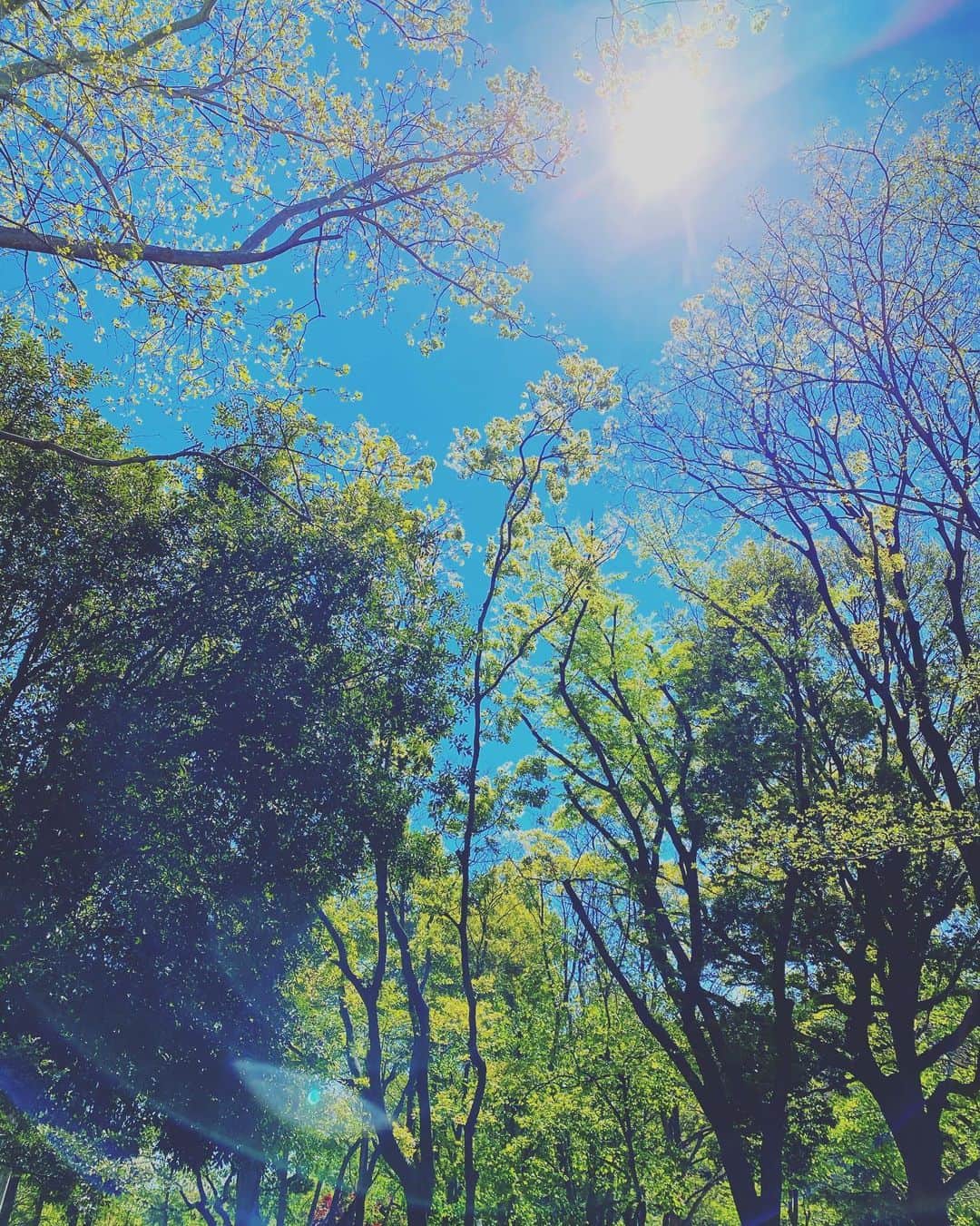 結花子さんのインスタグラム写真 - (結花子Instagram)「課外授業🐛 チビの虫嫌いをなんとかしたくて、 毎日、早朝散歩の時に虫を探しまくる親。笑 . #早朝散歩　#空はこんなに美しいのに  #新緑の季節  #課外授業　#今日は　#みみず　#発見👀」4月19日 11時58分 - yukako_chupapi