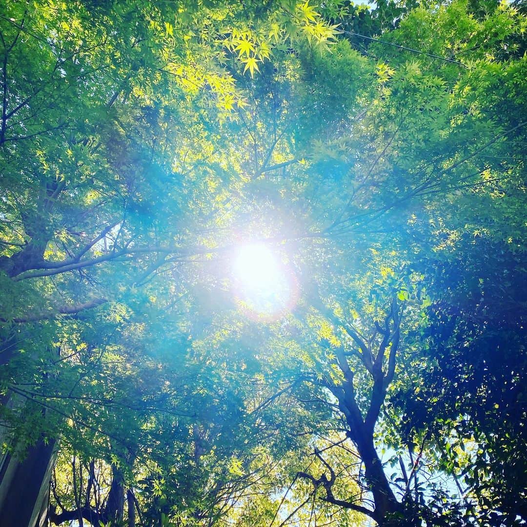 HiRAO INCのインスタグラム：「. 🙏✨ . みんなの意識がどんどん上がってるのを感じるような、 気持ちいいエネルギー。  沢山の人がもう気づいています。 今回の事は、自然のエネルギーの流れを無視して、人間が地球をコントロールしようとしたエゴの積み重ねにより起きた事。  問題は、一つではなく、見直さなくてはいけない全てを変えるタイミングですよ、と言っています。  新しい時代は、みんなの意識が創ります。 一人一人に大切な役割がある。  恐怖や、違和感の無い、共存、共鳴できる新しい時代は、一部の政治家や、団体、企業や著名人が創るのではなく、個々がそれぞれに変わる事でどんどん創造されます。  人間の眼に見える事は限られてるけれど 心の眼は無限 感じることが、とても大切です  迷ったり、自信がなくなったり 不安になったりしたら目を閉じて 自分に問いかけて  これは私の意識かな？　 誰かの価値観では？ 他の人の意識ではない？  わたしもいつも自分に問いかけています。  そして、ポジティブで無限な愛の波動に意識を集中。 どこに意識を合わせるか どこと繋がるか それが大事  恐怖やネガティブな波動に意識を合わせない事が 霊性を上げる1番の近道  昔はスピリチュアルとか言われてきたけど、 こういう事は、当たり前になってきたよね  流行った引き寄せの法則も マインドフルネスも ホオポノポノも瞑想も 全ては同じ事  意識が全て  みんなで世界を変えていきましょう。」