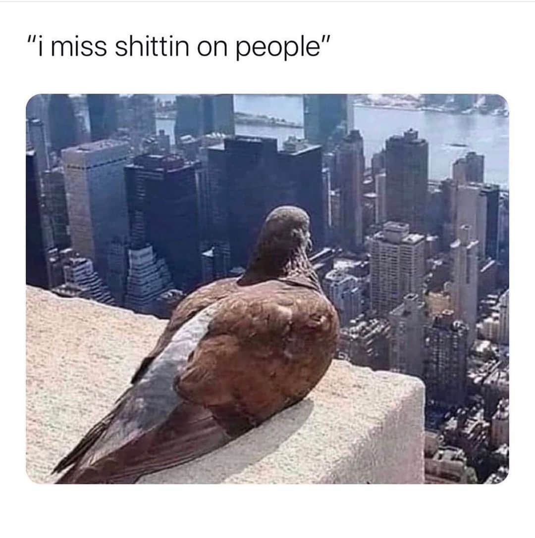 High Life Magazineのインスタグラム：「We feel you!😂 Tag somebody you miss @thehighlife.inc」