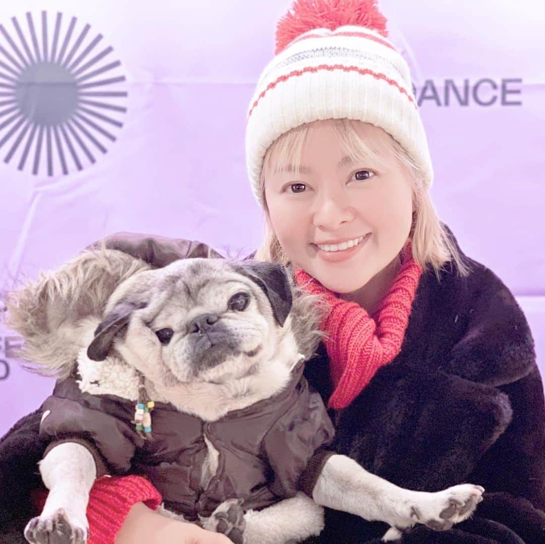 吉野紗香のインスタグラム：「Sundance Film Festival 2020🥳💖✨#sundancefilmfestival #sundance2020 #pug #muffin #event」