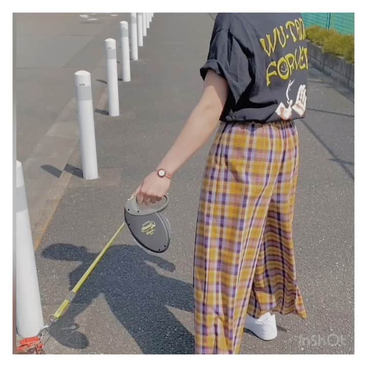 のインスタグラム：「“ DAILY LIFE @story_bottom #dailylife #family #pitbull #peace #ピットブル #🐶 . . . 🐶♥️」