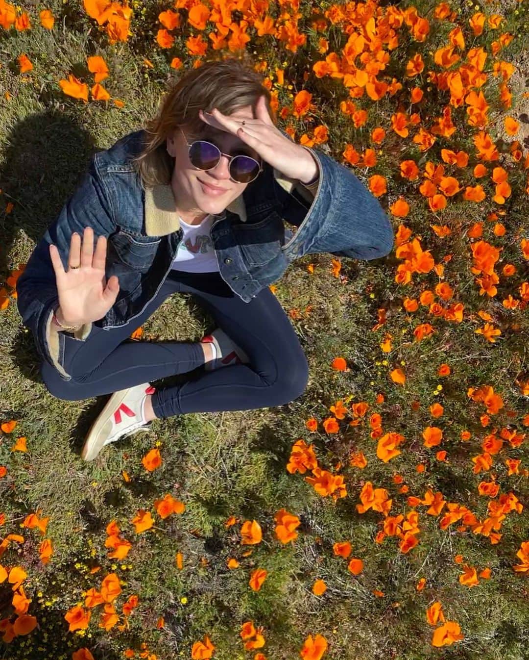 ティム・ディケイさんのインスタグラム写真 - (ティム・ディケイInstagram)「Sending my love to everyone from beautiful California. The poppies are in bloom. Stay safe ❤️」4月19日 13時51分 - tim_dekay