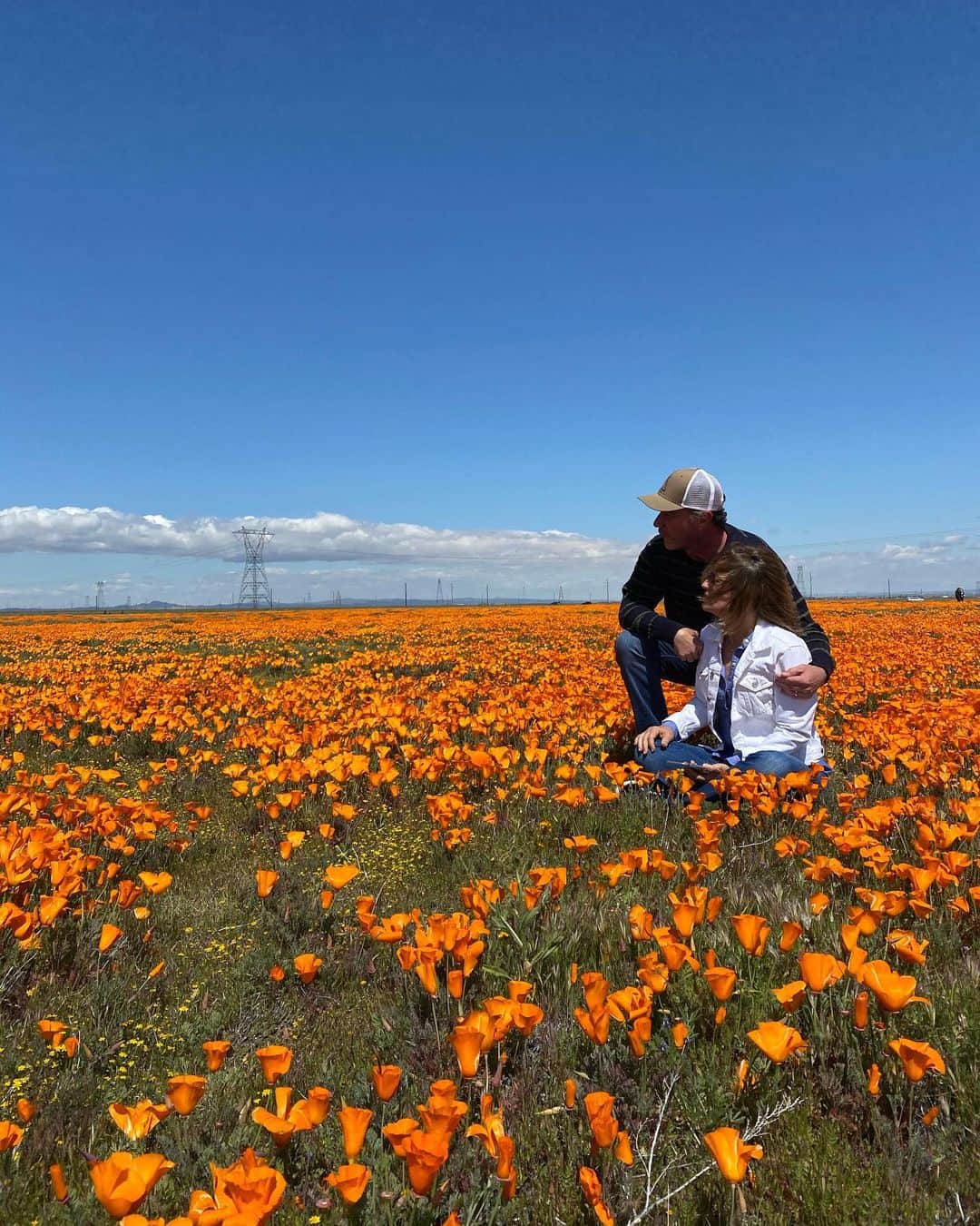 ティム・ディケイのインスタグラム：「Sending my love to everyone from beautiful California. The poppies are in bloom. Stay safe ❤️」