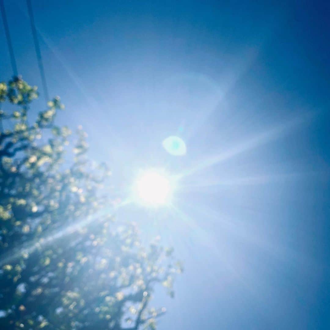 片山正通さんのインスタグラム写真 - (片山正通Instagram)「いい天気ですね〜。@ 片山自宅の庭 Lovely weather. @ My home garden」4月19日 13時54分 - masamichi_katayama