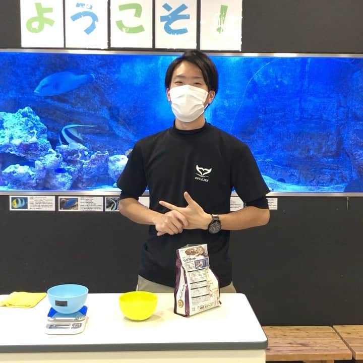 【公式】福岡ECO動物海洋専門学校のインスタグラム