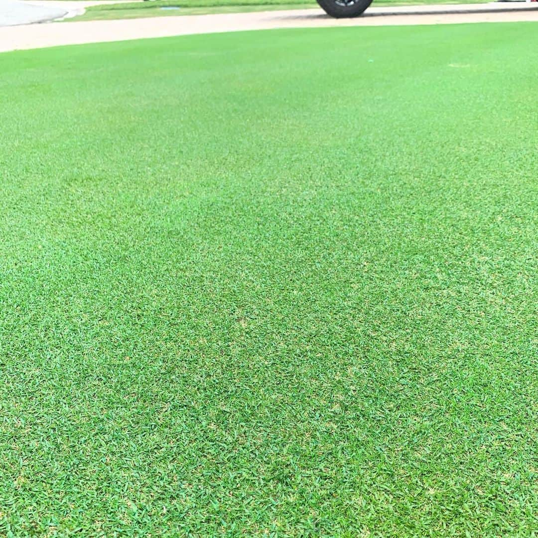 キャメロン・スミスさんのインスタグラム写真 - (キャメロン・スミスInstagram)「Green is starting to get a lot of TifEagle back in which looks amazing! Cutting it a little higher (4.15mm)due to temp, giving TifEagle a little space to grow in and overtake the Poa Triv. Can’t wait to start chopping it down soon!」4月20日 1時42分 - cameronsmithgolf