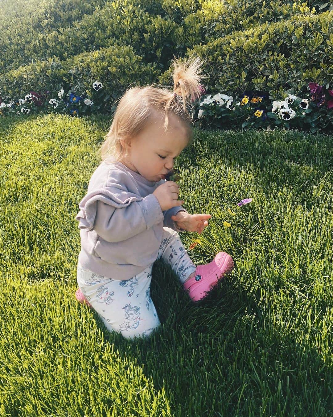 マシュー・カマのインスタグラム：「Stop &, aggressively, smell the flowers.」