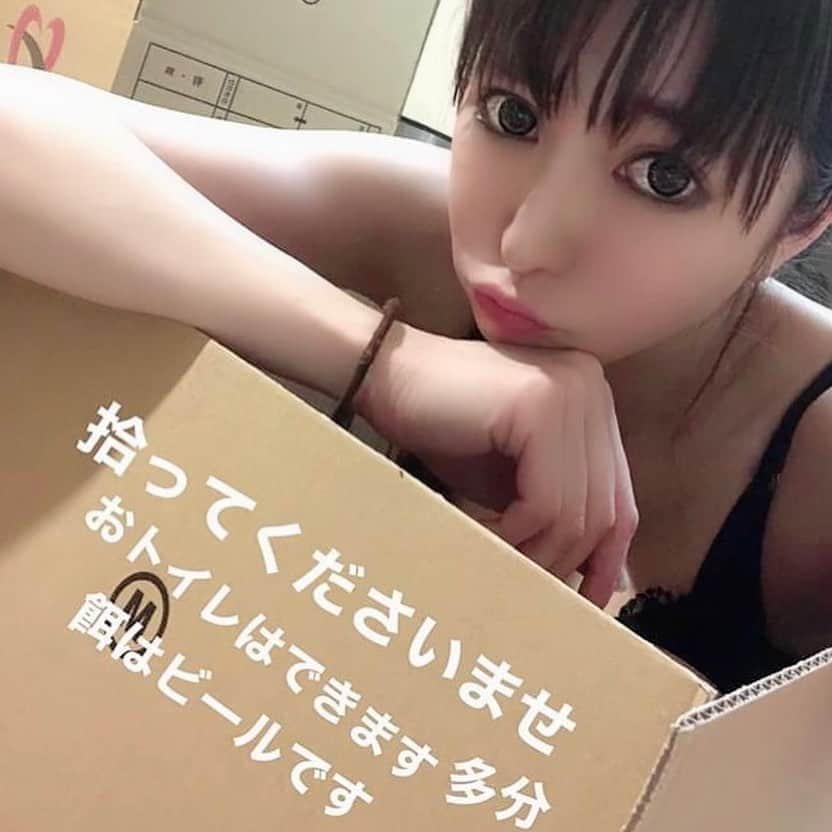 石川蓮美のインスタグラム