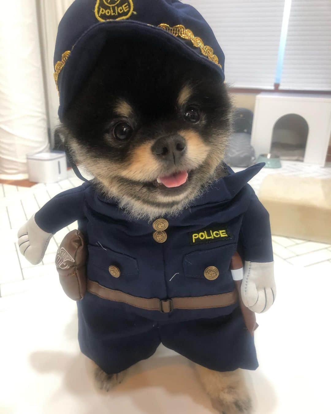イ・テソンさんのインスタグラム写真 - (イ・テソンInstagram)「오늘밤 9:00 이카오님의 대활약! #미우새#본방사수📺#심장폭행#행복단속반」4月19日 18時53分 - taesama27