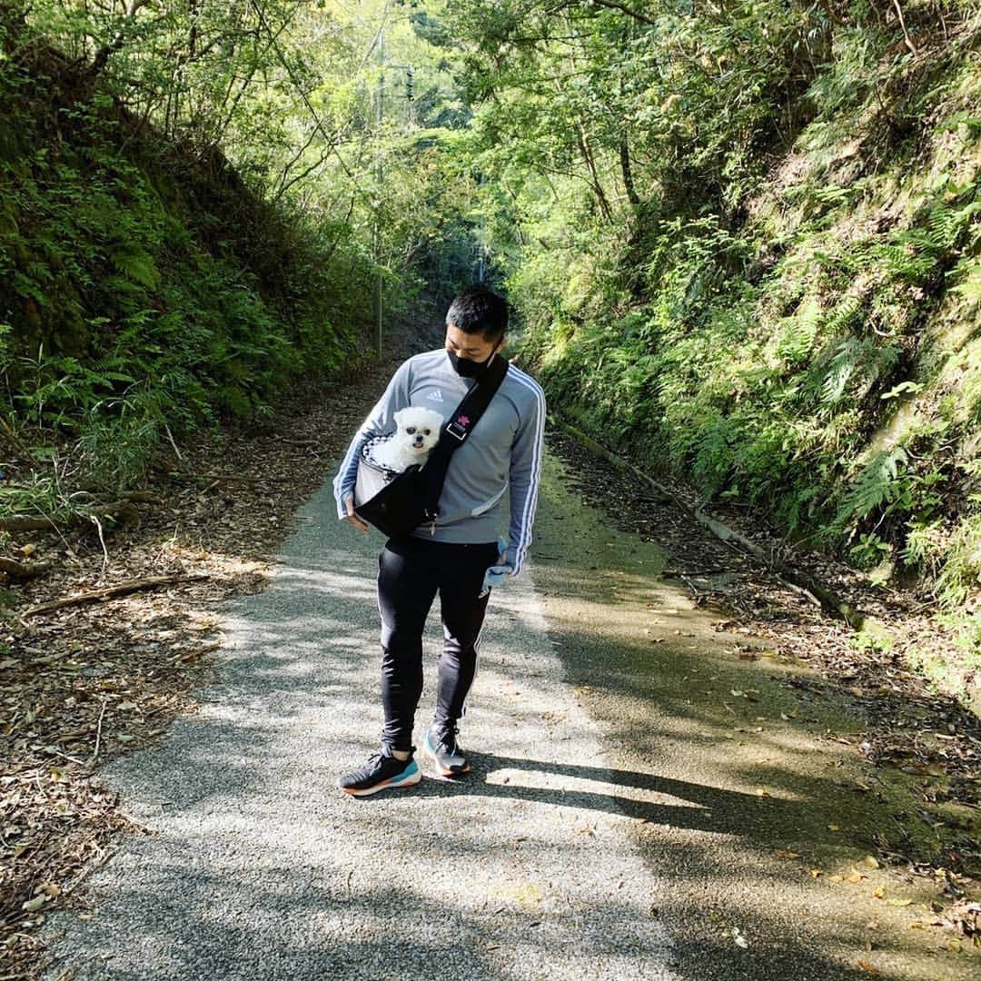 前園真聖さんのインスタグラム写真 - (前園真聖Instagram)「誰もいない里山をのんびりと歩きました☀️😊 #アンジェロ #ミックス犬 #里山 #散歩 #前園真聖」4月19日 19時14分 - maezono_masakiyo