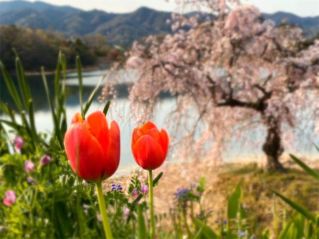 山田佳子のインスタグラム