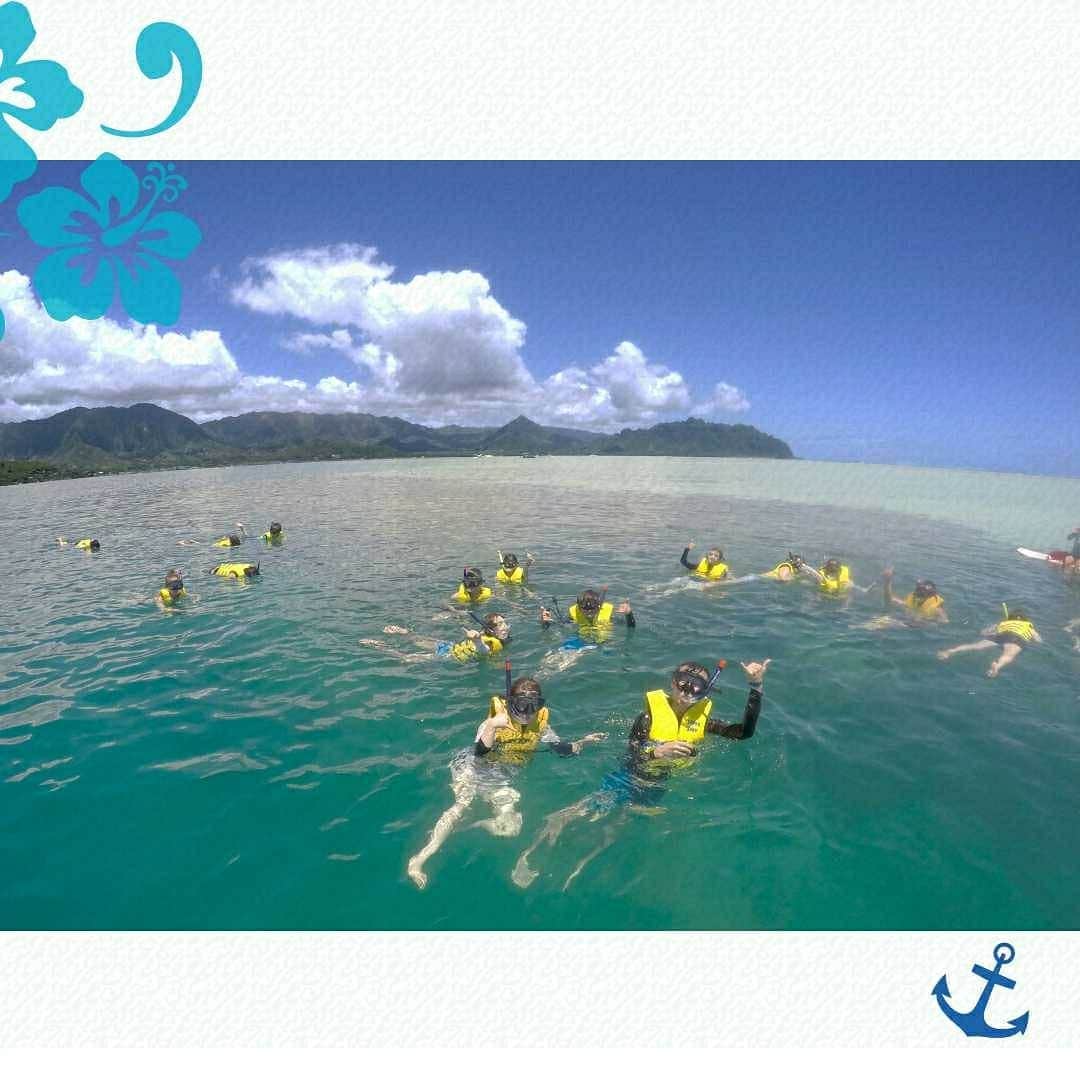 Luxury Cruise by Captain Bruceさんのインスタグラム写真 - (Luxury Cruise by Captain BruceInstagram)「船に乗って沖へ出ると、刻々と変化するハワイの景色が広がります。約10分ほどでサンゴ礁が見え始めると、もうすぐ天国の海サンドバーへ到着です！⁠ ⁠ 天国の海ツアーでは、バリアリーフに守られた遠浅の海で、ゆっくりアクティビティをお楽しみいただけます。⁠ ⁠ ⁠ #キャプテンブルース #kaneohebay #ハワイ #アクティヴィティ #天国の海 #サンドバー #天国の海ツアー #captainbruce #天国の海ツアー #kaneohe #alohaoutdoors #gohawaii #hawaii🌺 #シュノーケル #ahuihou」4月19日 19時45分 - cptbruce_hi