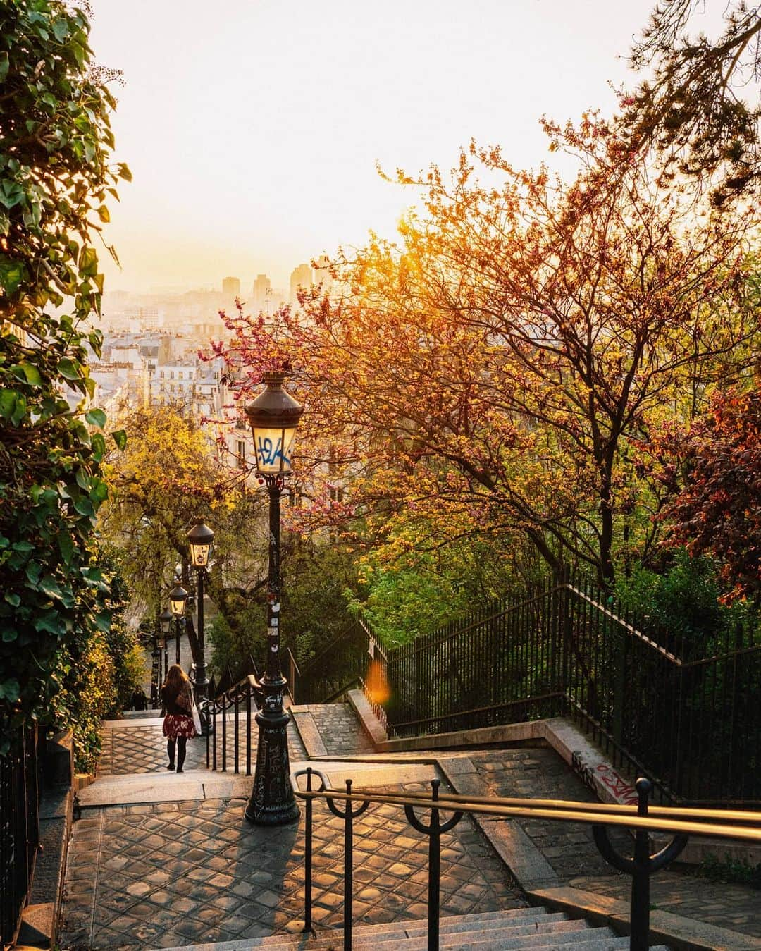 VuTheara Khamのインスタグラム：「Morning Light in Montmartre, Paris, April 2020 🍂🌸🌿🎨 . There is 10 days, I took this shot early morning during my walk close to my district between 7AM-8AM. You can see the video in my Stories.」