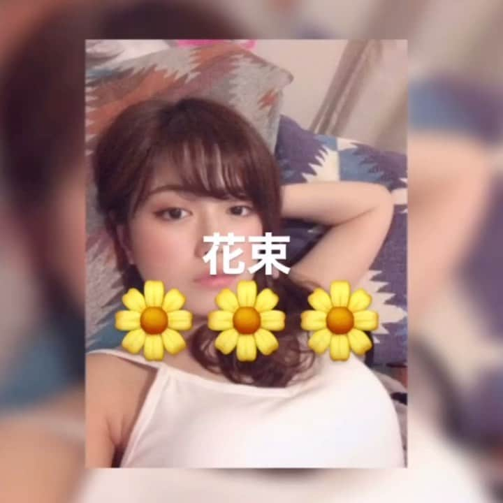 藤堂なえみのインスタグラム