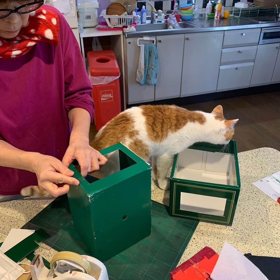 Kachimo Yoshimatsuのグルメインスタ