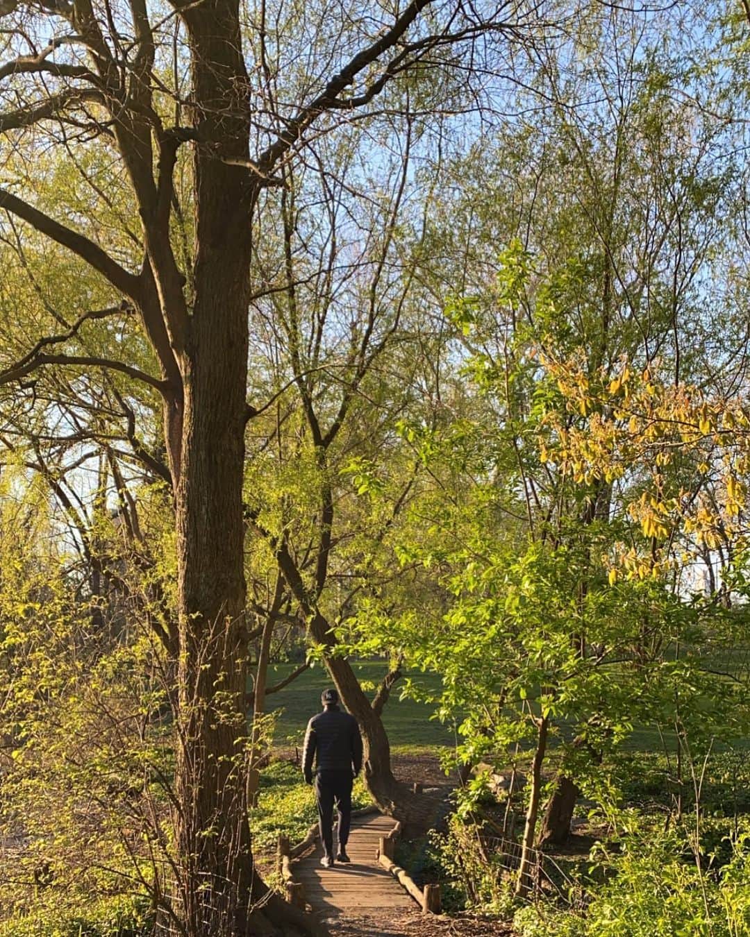 キーラ・コルピのインスタグラム：「Early morning at the park with hubby💚」
