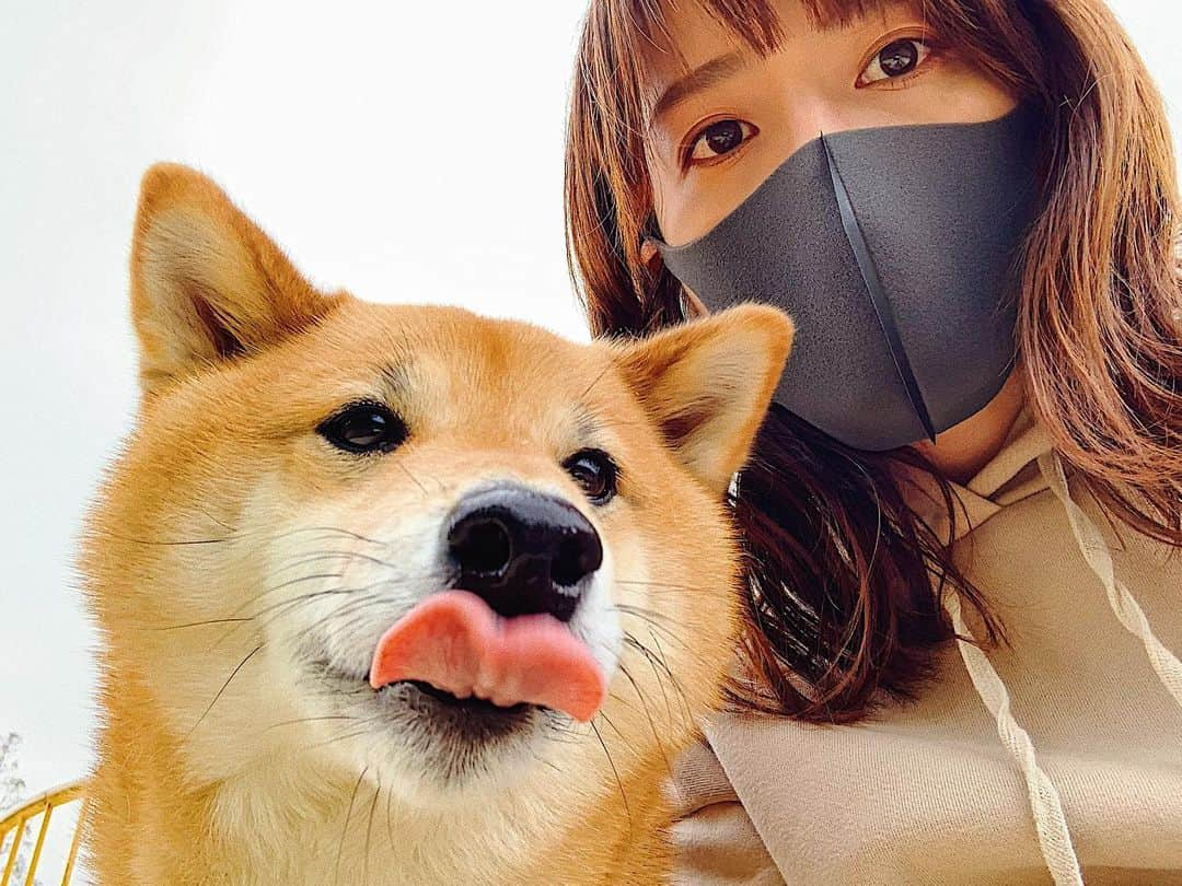 井上志帆子さんのインスタグラム写真 - (井上志帆子Instagram)「ちょっと天気悪い日の散歩写真🐕 飼い主自撮りに必死の目つき👁 ふじの舌がちょいハートっぽい👅 #柴犬#柴犬ふじ#しばいぬ#柴犬を崇めよ#shibainu #柴犬と飼い主」4月19日 22時21分 - shiriko0316