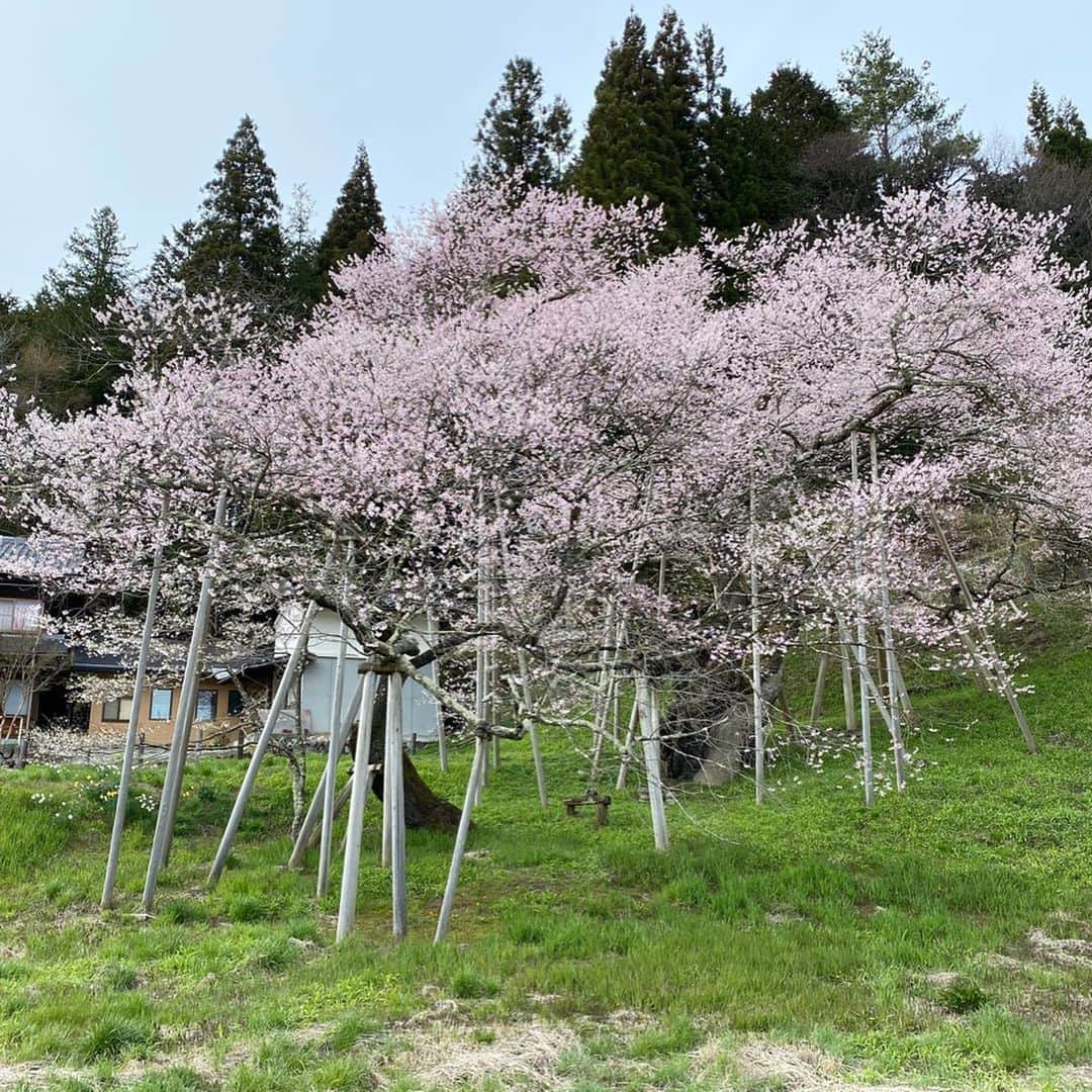 飛騨高山 旅館あすなろのインスタグラム