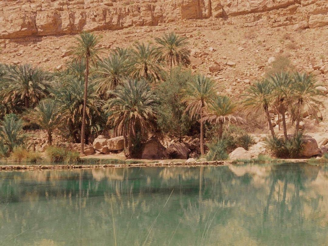 tammychannnさんのインスタグラム写真 - (tammychannnInstagram)「Wadi Shab Oasis,Oman (2018)」4月19日 22時31分 - tammychannn