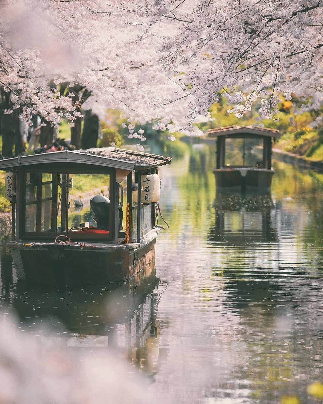 Berlin Tokyoのインスタグラム：「Seasons come and go. Nothing remains the same. Finding beauty in impermanence is way to appreciate the nature. . . . #hellofrom Kyoto, #japan」