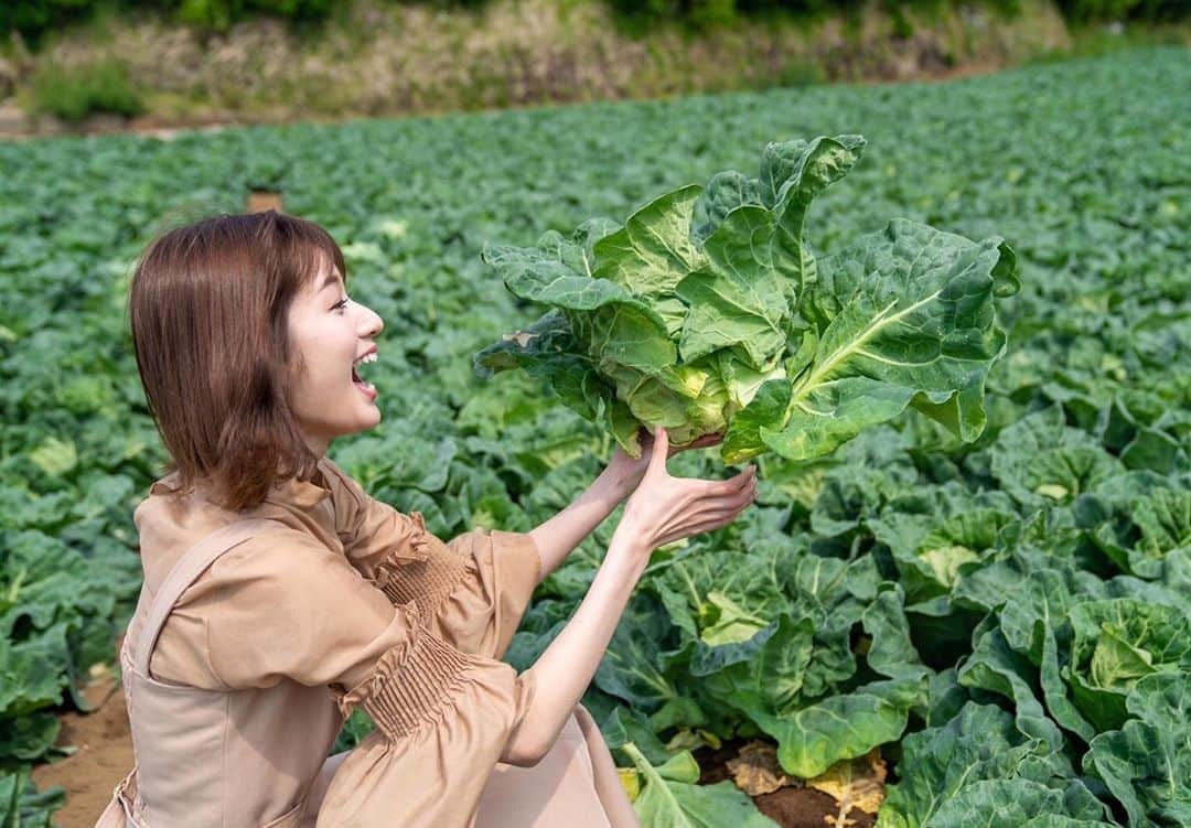 杉枝真結さんのインスタグラム写真 - (杉枝真結Instagram)「☺︎ キャベツ畑🥬 とても素敵な場所でした😊 また行きたいなぁーーーっ✨ - Facebookページでは！ 盛り沢山の情報に… 取材の様子の写真達に… 様々な内容を 楽しくお届けしているので 皆さん、ぜひ見て下さいね🙏💗💗💗 https://www.facebook.com/KanagawaDrivingGourmet #ネッツトヨタ神奈川 #presents #ドライビンググルメ #略して #ドラグル #スタッフさんが #ドラグルって言うの #私も #ドラグルって言おう #はやく慣れよう 🤣🤝 #楽しい現場だよ 🍀 @fmyokohama847_official」4月19日 22時37分 - mayusugieda_official