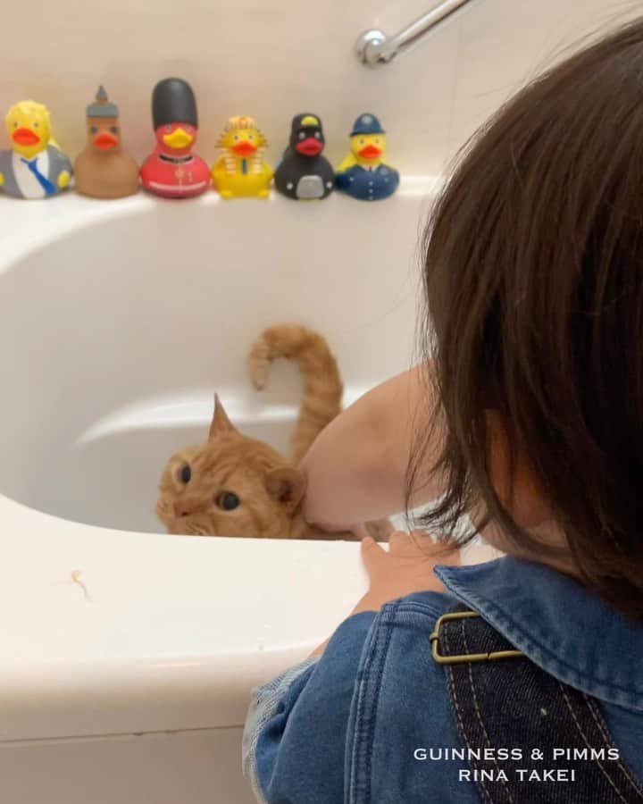 ギネス & ピムスのインスタグラム