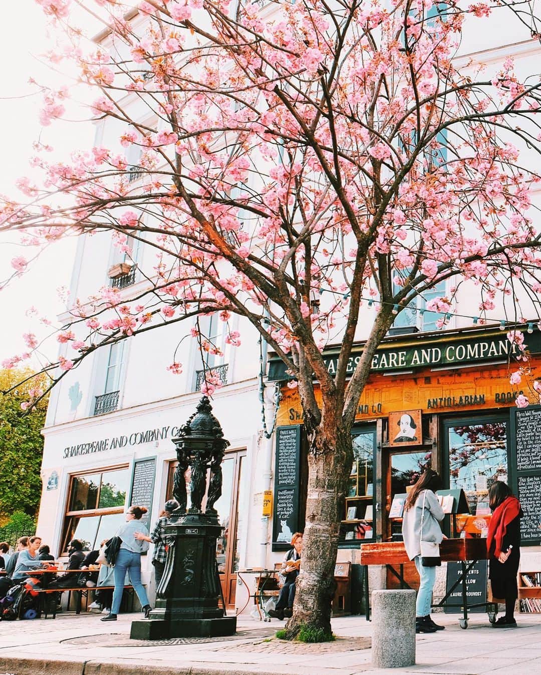 nathparisのインスタグラム：「SHAKESPEARE AND COMPANY... .  The cherry blossoms at a few steps from Notre Dame de Paris.  Soon we will be able to stroll through this bookstore and I hope to resume the course of our life. Take care and stay safe 💛 . Photos (2014-2019)」