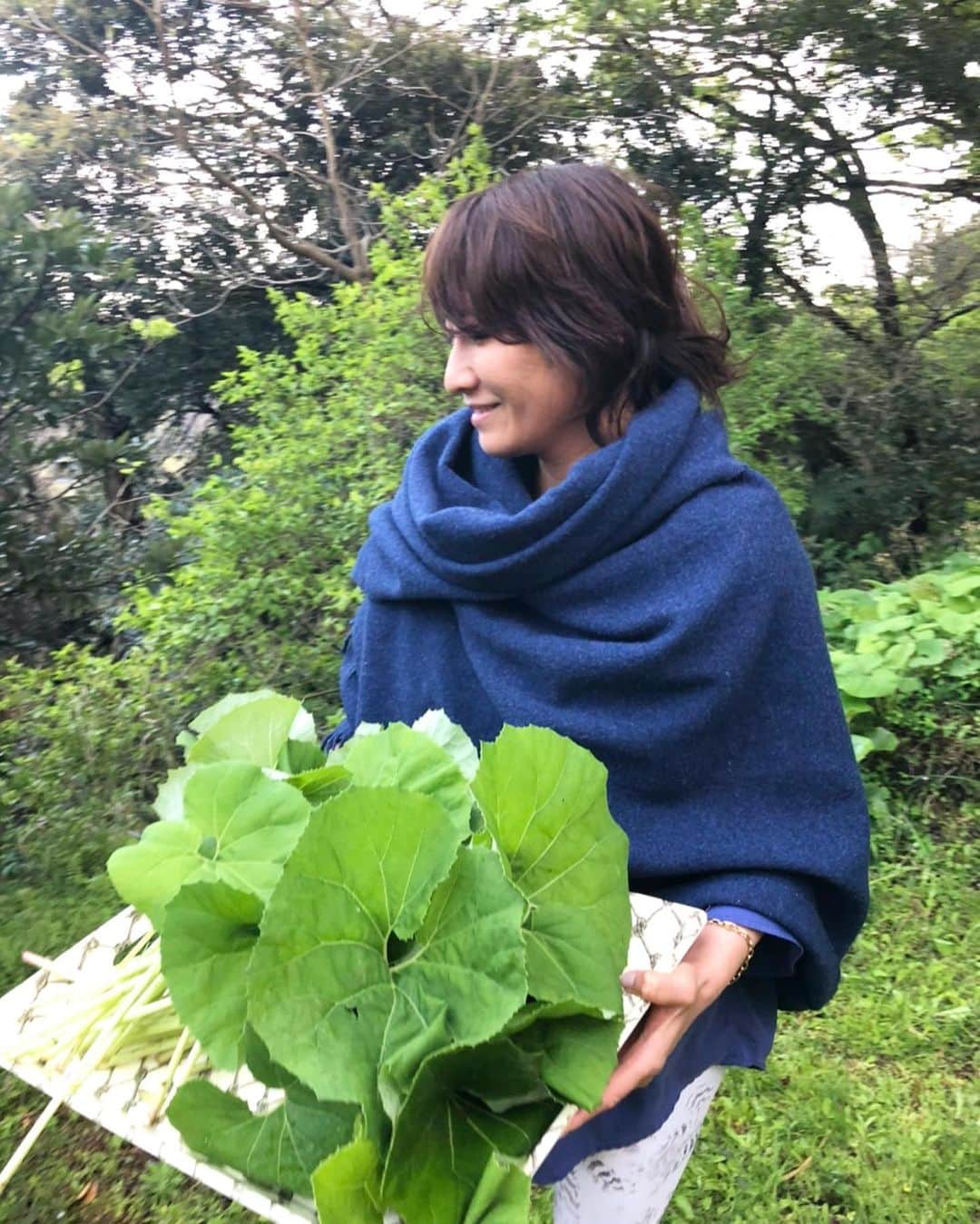 風間ゆみえのインスタグラム：「我が家の南側の庭にはフキがわさわさしております。  #yumie_k_style」