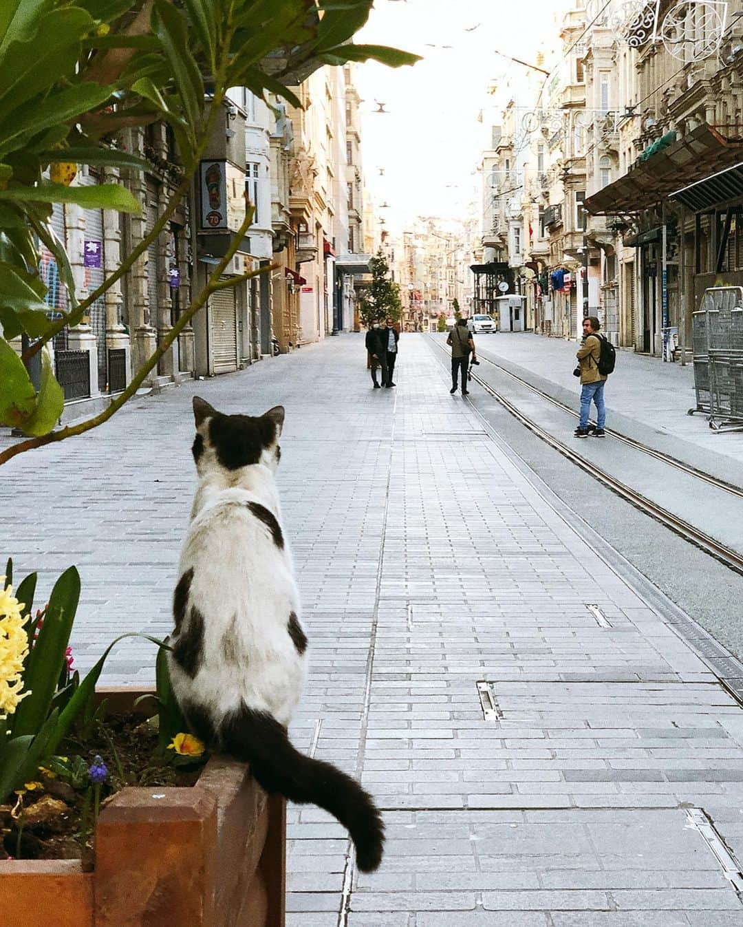 Mustafa Sevenさんのインスタグラム写真 - (Mustafa SevenInstagram)「#Korona günlerinde #Istanbul | Istanbul in #Corona days !  18/04/2020  #StoryOfIstanbul  #documentary  #streetphotography」4月19日 23時13分 - mustafaseven