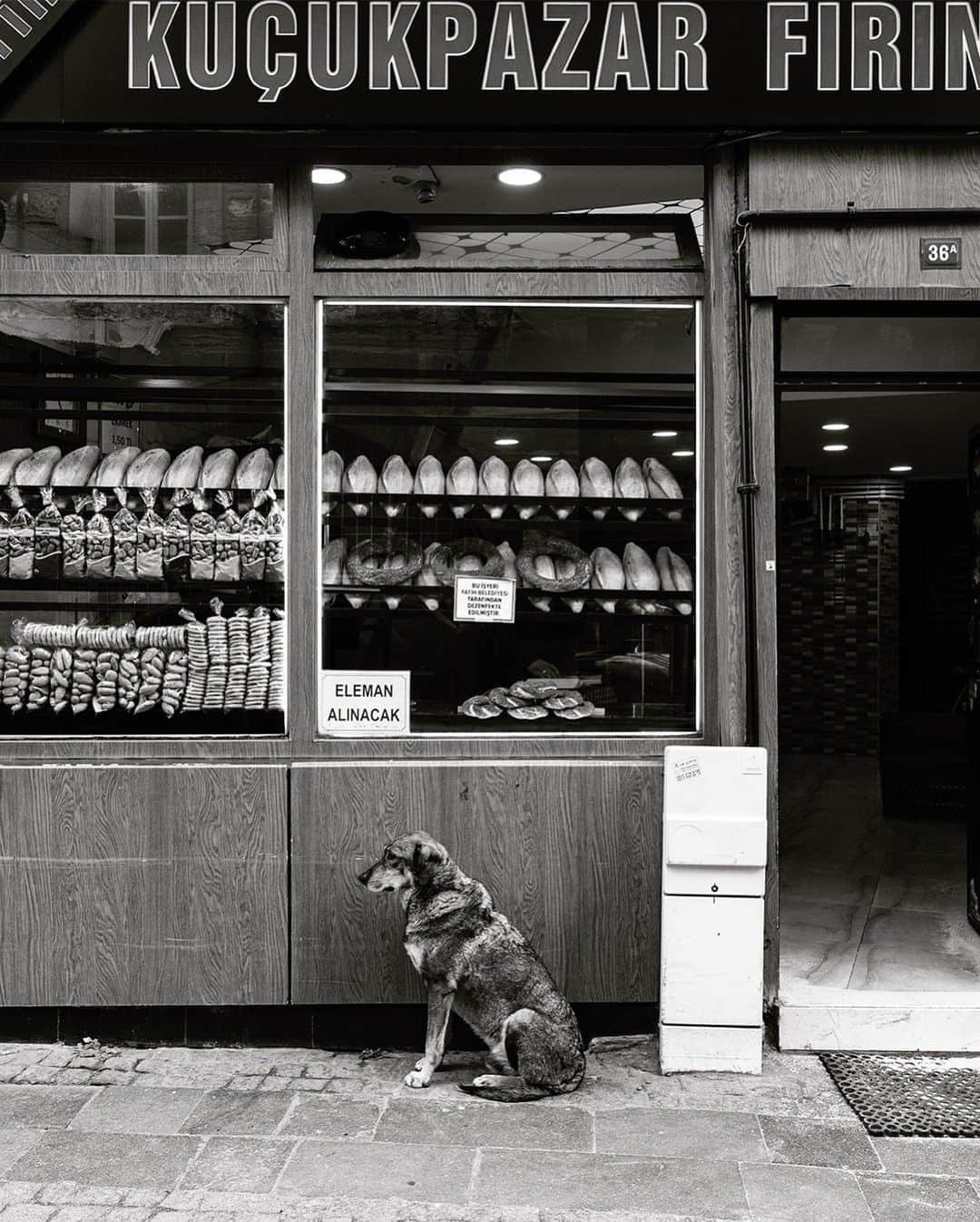 Mustafa Sevenさんのインスタグラム写真 - (Mustafa SevenInstagram)「#Korona günlerinde #Istanbul | Istanbul in #Corona days !  18/04/2020  #StoryOfIstanbul  #documentary  #streetphotography」4月19日 23時13分 - mustafaseven