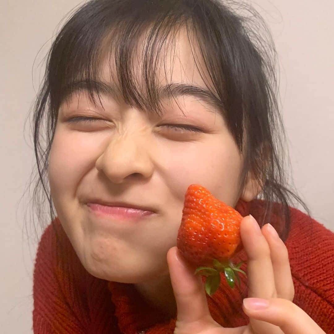 森七菜さんのインスタグラム写真 - (森七菜Instagram)「🍓🍓🍓 #いちご好き #おうち時間」4月19日 23時24分 - morinana_official