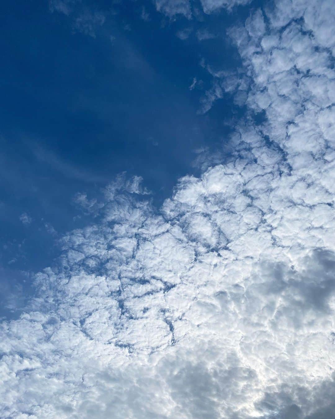 木村沙織さんのインスタグラム写真 - (木村沙織Instagram)「. 今日の空は青いけど 雲はかさぶたみたいだったなー🎏」4月19日 23時31分 - saoriiiii819