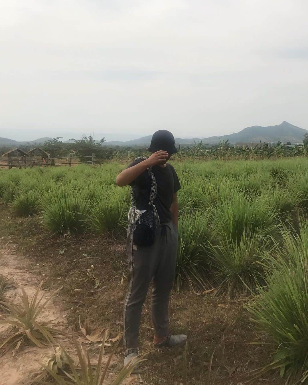 倉岡晋也さんのインスタグラム写真 - (倉岡晋也Instagram)「Playback #cambodia story I recommend very very tasty organic pepper @laplantationkampotpepper We visited their farm in kampot 胡椒の概念が変わった、、 こんなにエネルギーあって旨いのは初めてでした。 今年の一月の話… 大好きなカンボジアは、カンポット州にある 無農薬胡椒農園La Plantationへ なーんにもない、砂のデコボコの土道を原付で、真っ黒になりながら走り続けること1時間以上… やっと辿り着いた胡椒の楽園 完全に無農薬と認定されている農園は(プロダクトは万とある)世界的にも僅かなんだと… 塩漬けにした大粒の黒胡椒に衝撃… 胡椒栽培の難しさ、手法、現地の人々へのサポート。 フランス人夫婦が経営する大きな大きな農園には、家族が寝泊りできて勉強を教える施設やパッケージ製作まで全て、このコミュニティ内で完結します。 ツアーに参加し、説明を聞き、美味しい胡椒をたんまりと買い込み、パリに持ち帰りました。。 あとで調べたら日本にも @kampotpepperjapan があり　　@bio_c_bon_japon でも購入出来るとの事を知り、皆さんにご紹介します。 ほんとに美味しいから、びっくりするから！ ネットでも買えるかなー、、。 僕のオススメはLong salted pepperです ☺︎ これを、そのままポリポリ食べる。あと白米にパラっと、、 想像つかないよね？まじで旨い！ 胡椒のレシピは、今度 @shinyakuraoka_cooking に載せようかなーーっと #laplantation #kampotpepper #カンボジア」4月19日 23時42分 - shinyakuraoka