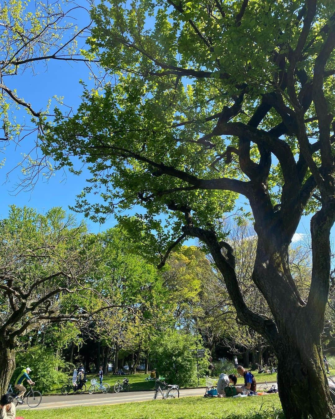 伊達公子さんのインスタグラム写真 - (伊達公子Instagram)「あまりにもいいお天気なので駒沢公園へお散歩！ 鉄棒を見てやってみたくなった！ #伊達公子 #kimikodate #テニス #テニスプレーヤー #tennis #tennisplayer #instatennis #stayhome #staystrong #staysafe #お散歩 #逆上がり #何十年ぶり #鉄棒 #駒沢公園 #komazawapark #beautifulweather #快晴 #雲一つない青空 #気持ち良い日曜日 #気持ちいい天気 #できた」4月19日 23時46分 - kimiko.date