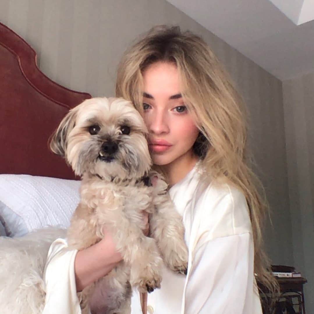サブリナ・カーペンターのインスタグラム：「one woman show plus dog」